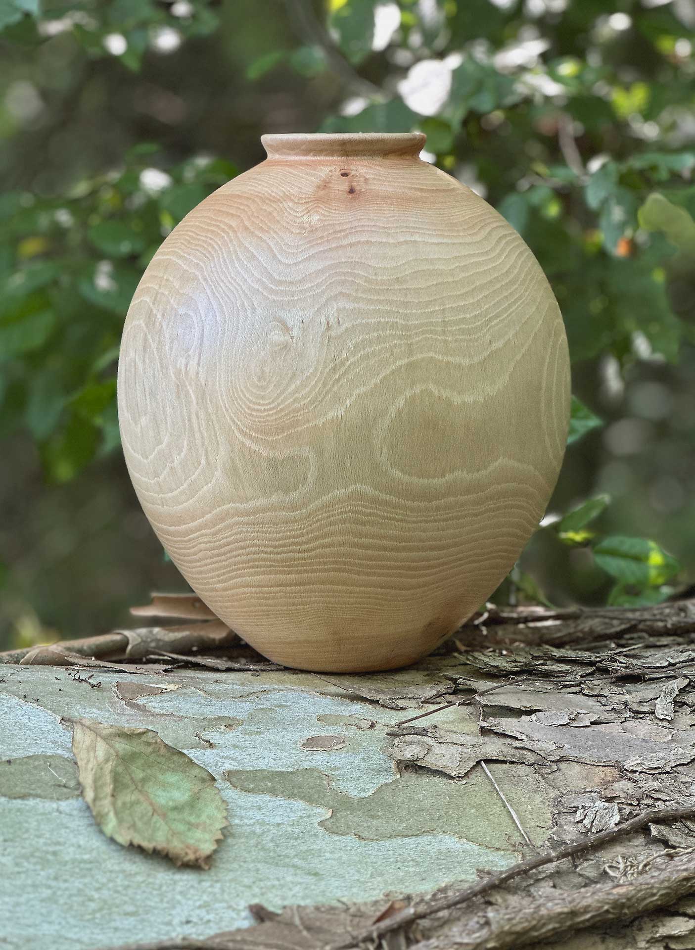 Sycamore hollow form