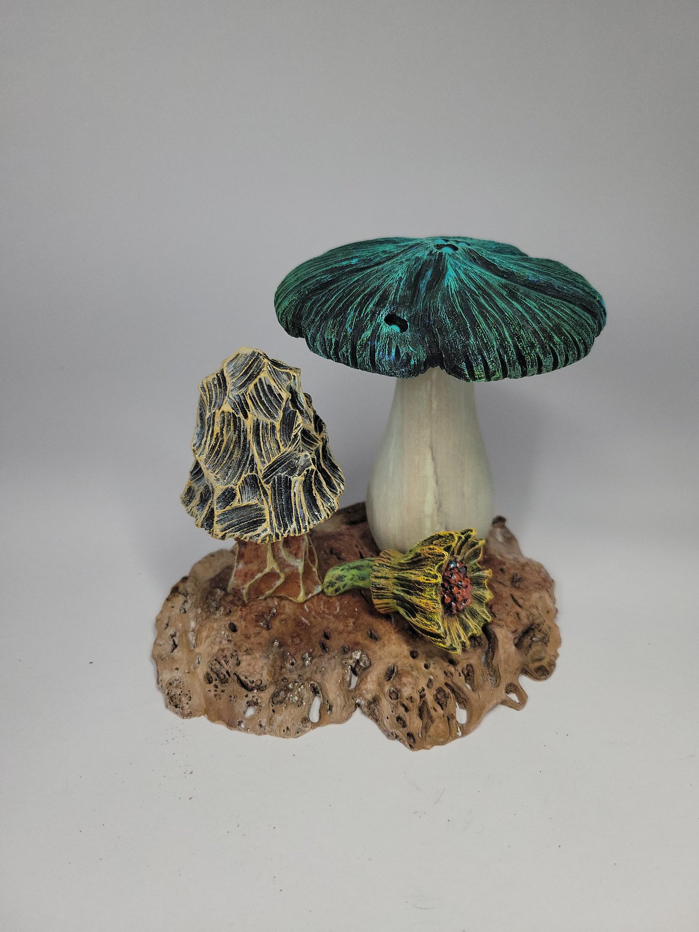 TBD mushrooms