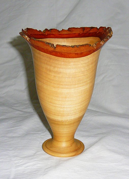 Tulip vase (liriodendron tulipfera)