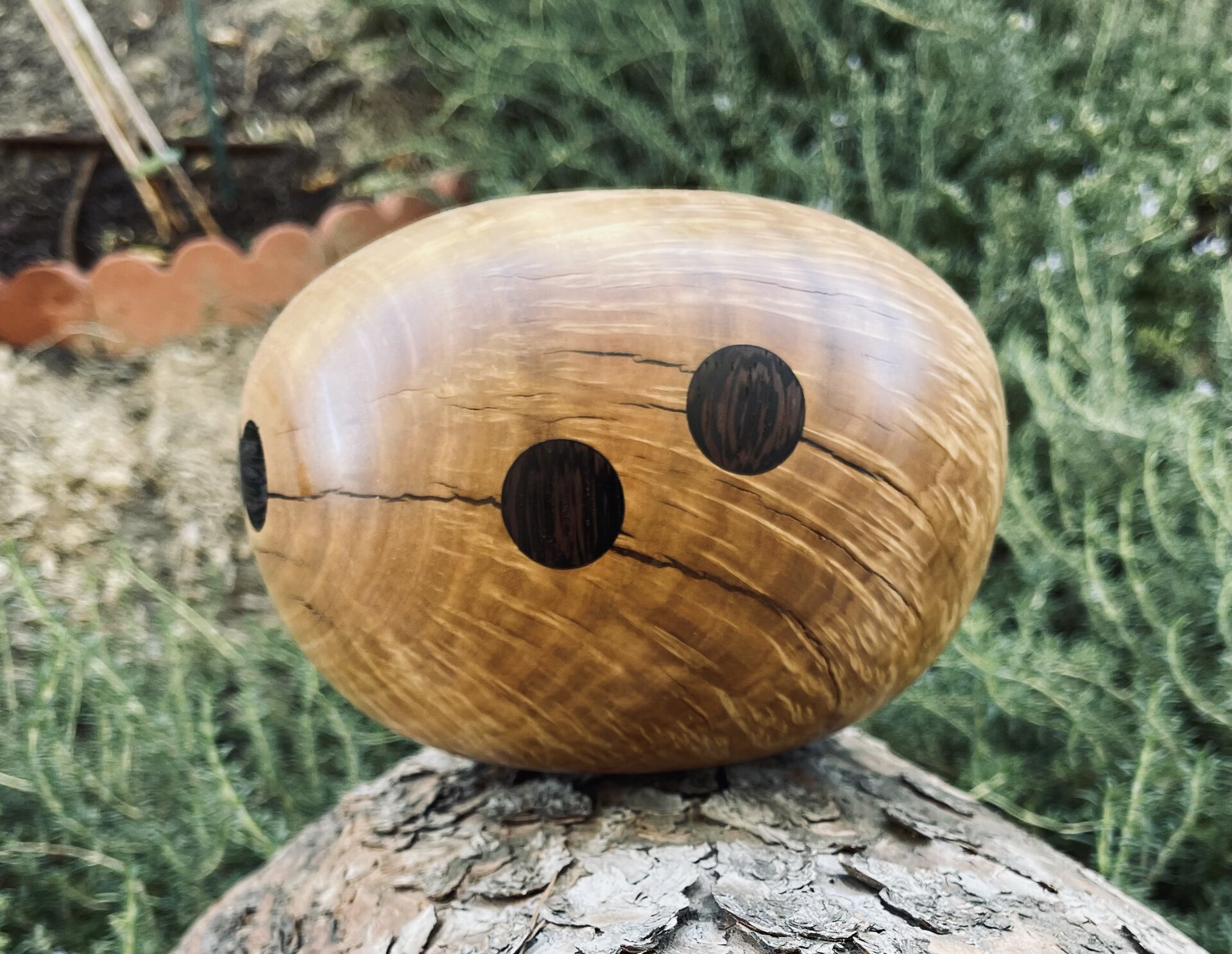 Unknown burl wood with wenge coins