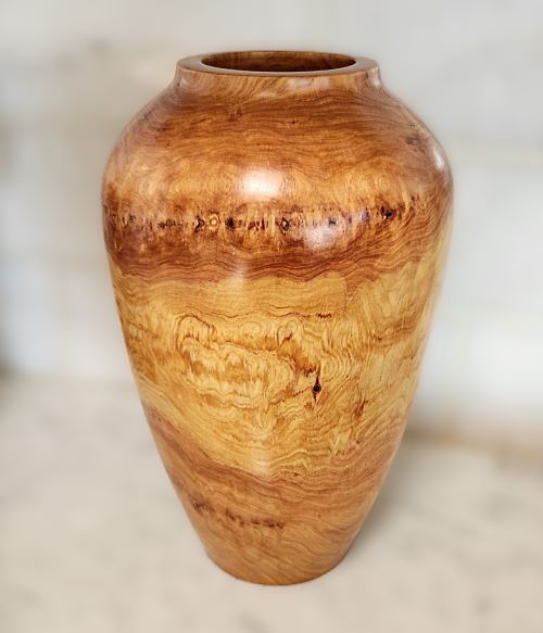 Wavy Alligator Juniper VASE.jpg