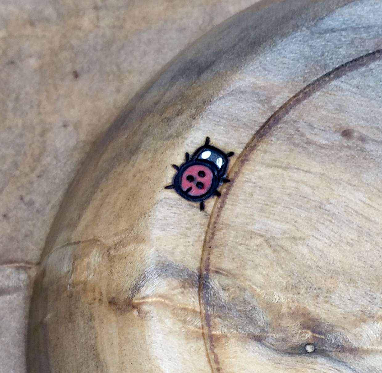 WHEAT AND LADY BUG BOWL - detail