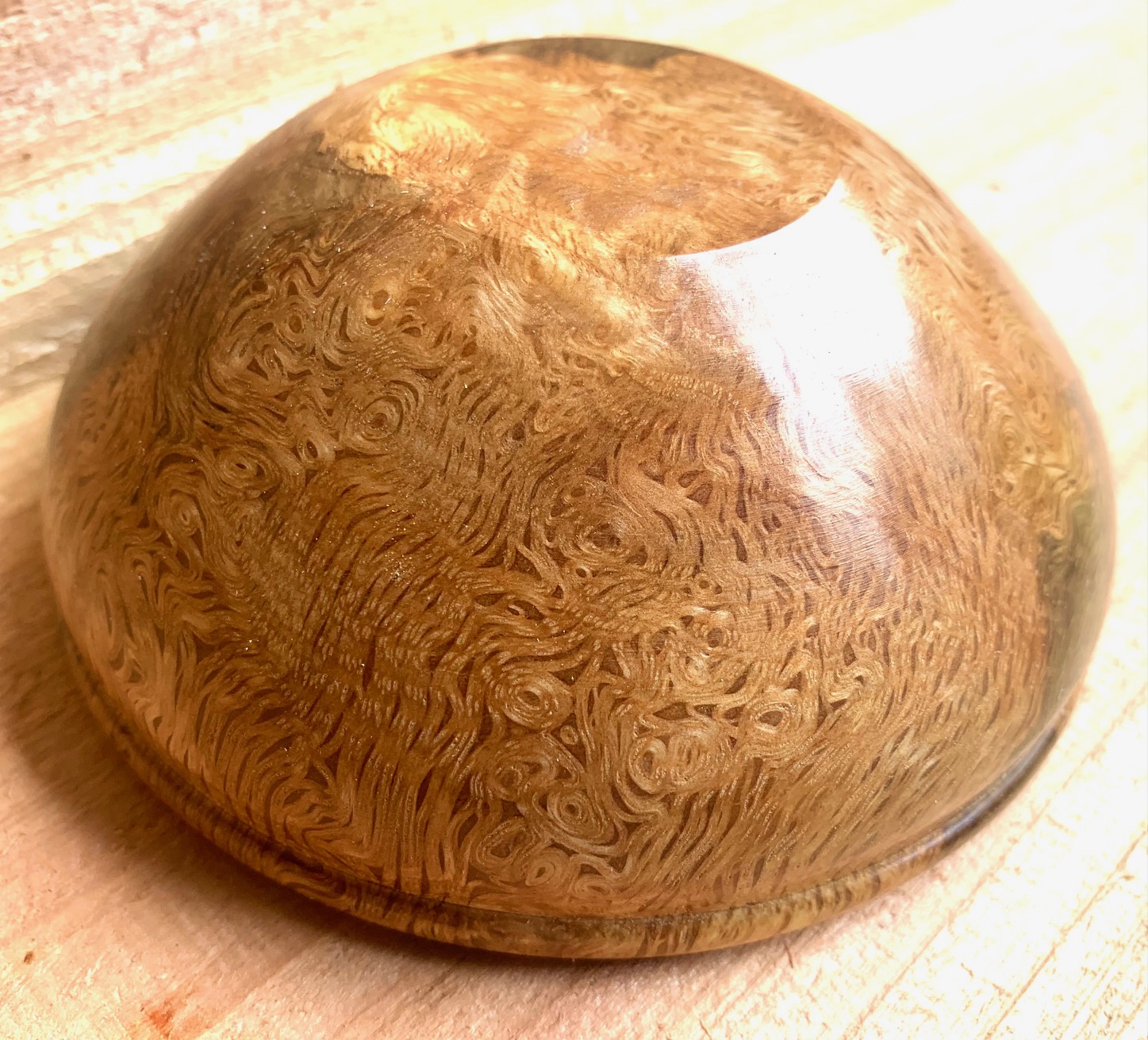 White Oak Button 3