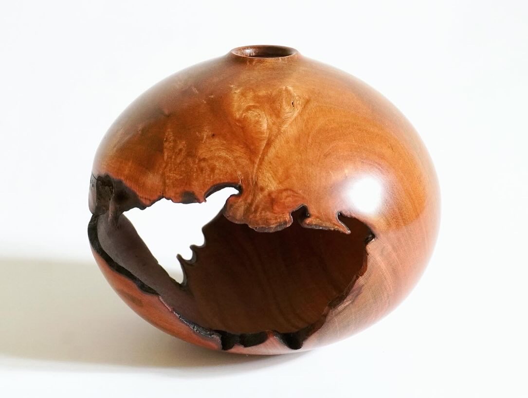 Yoshino cherry hollow form